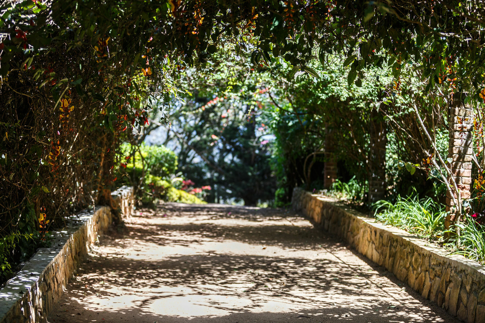 Dutch House Bandarawela Villa Eksteriør billede
